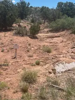 250 Moonlight Ridge Road 