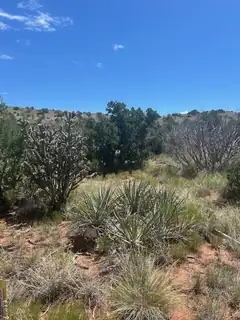 269 Star Meadow Road 