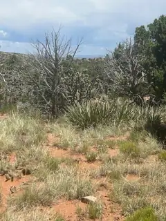 269 Star Meadow Road 