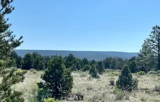 Lot 15 Buttonwood Drive 