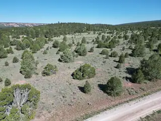 Lot 15 Buttonwood Drive 