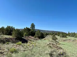 Lot 15 Buttonwood Drive 