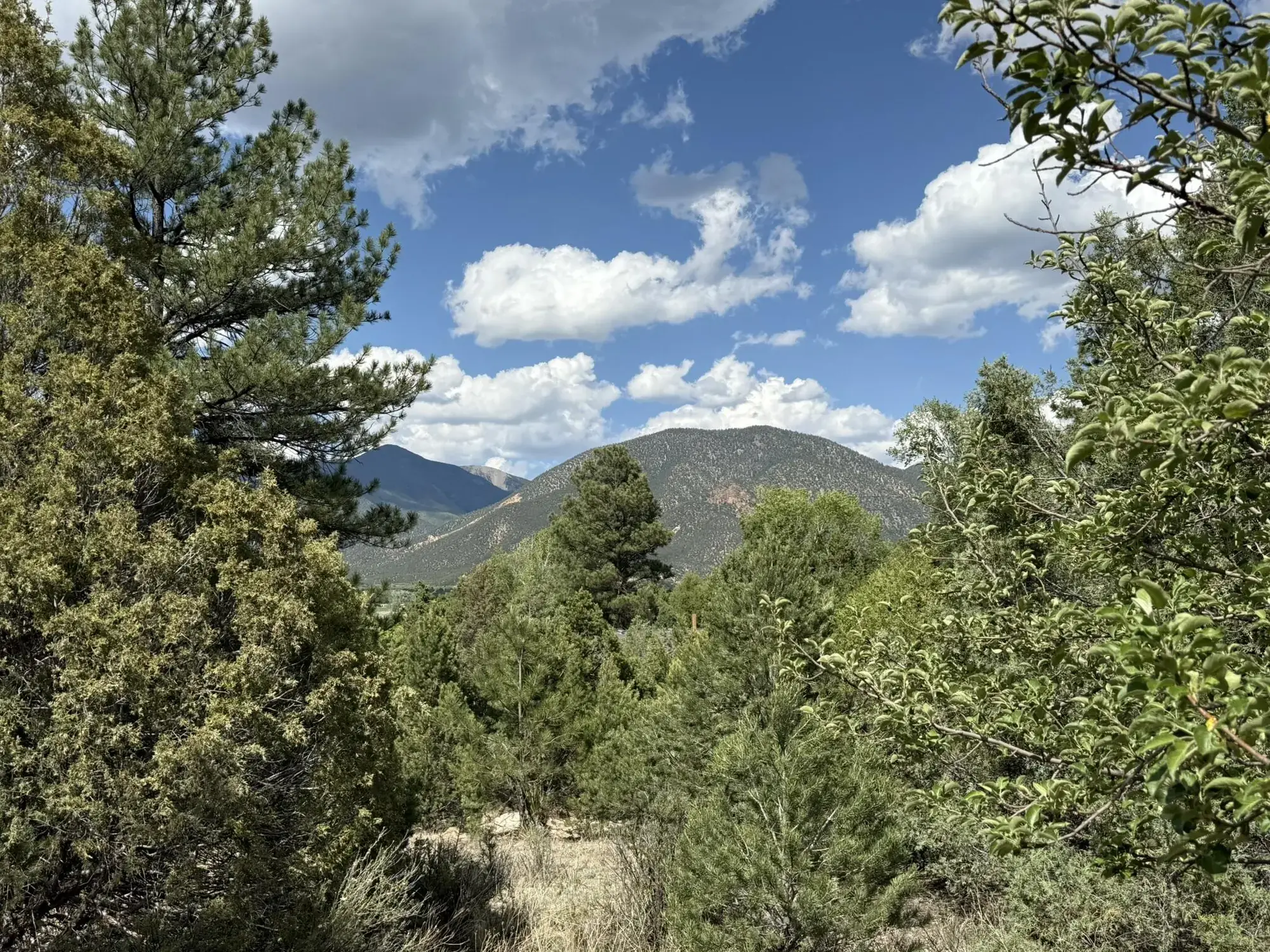 2318 B Old Red River Road