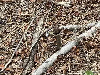 2318 B Old Red River Road 