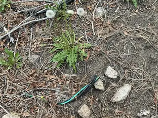 2318 B Old Red River Road 