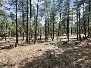 Lot 36 Spruce Loop, Jemez Springs 
