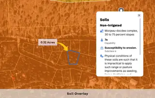 111 King Richard Drive 