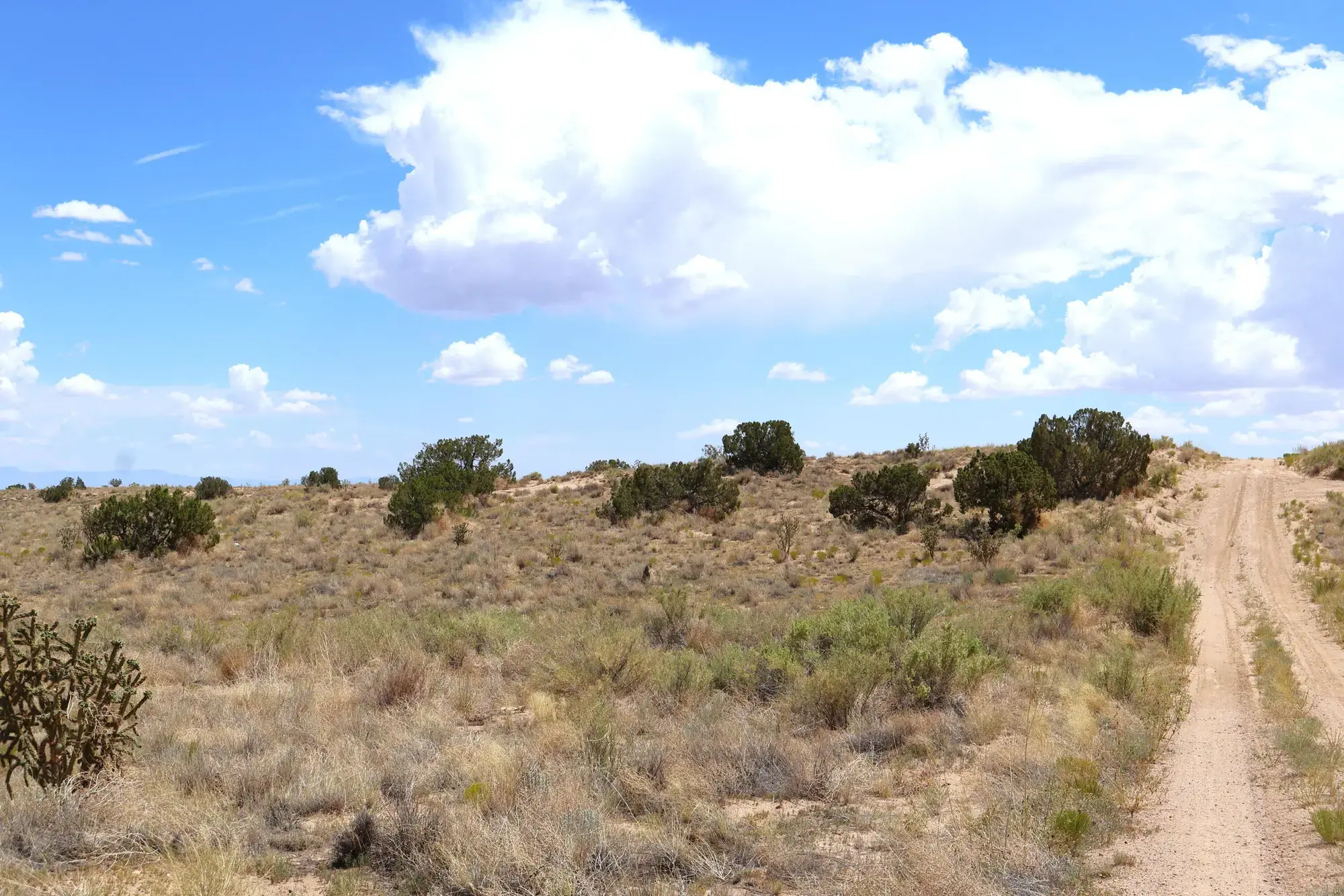 Rio Rancho Estates Lot 20 SW
