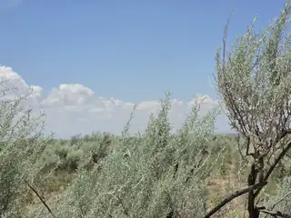 VL RGE Lot 27 Block 360 17 