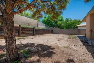 993 Calle Katarina Backyard