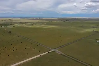 Lexico/McNabb, Moriarty 