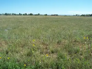 8TH ST/LAHAINA AVE. East 