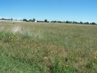 8TH ST/LAHAINA AVE. East 