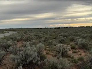 NA Tortuga LOT #18 Loop 