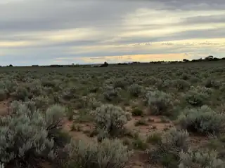 NA Tortuga LOT #18 Loop 