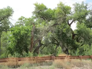 3641 CAMEO Drive Floor Plan