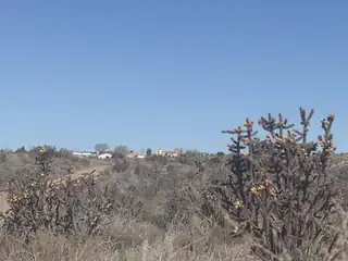 U8B41L16 Hidalgo Road SW 