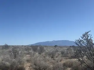 U8B41L16 Hidalgo Road SW 