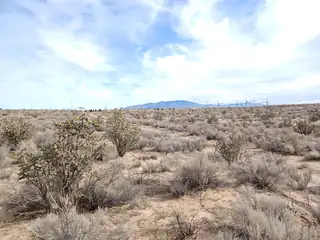 1809 Brueing (U21B5L26) Avenue NE 