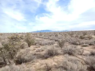 1809 Brueing (U21B5L26) Avenue NE 