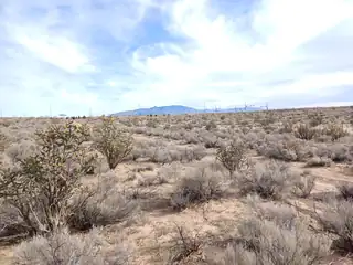 1809 Brueing (U21B5L26) Avenue NE 