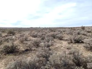 1809 Brueing (U21B5L26) Avenue NE 