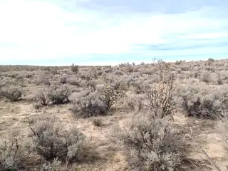 1809 Brueing (U21B5L26) Avenue NE 