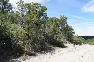 263 FIVE HILLS Drive 