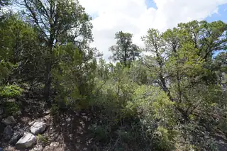 263 FIVE HILLS Drive 