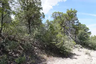 263 FIVE HILLS Drive 