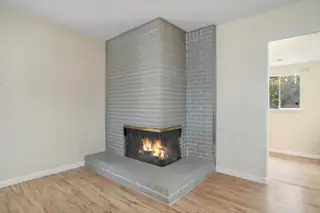 11505 PALM SPRINGS Avenue NE Fireplace