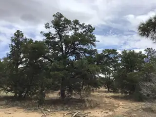 84 Coyote Canyon Road 