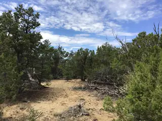 84 Coyote Canyon Road 