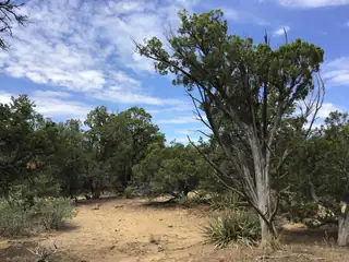 84 Coyote Canyon Road 