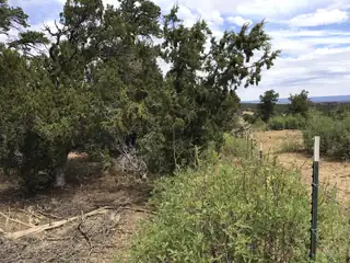 84 Coyote Canyon Road 