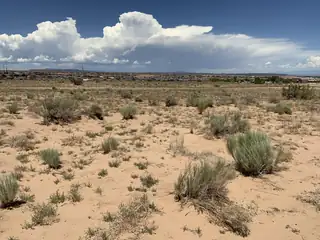 6611 Curtis Court NE 