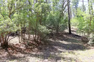 Lot 5 Sherwood Forest 