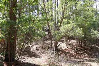 Lot 5 Sherwood Forest 