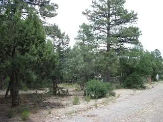 38 & 40 Mockingbird Highway 