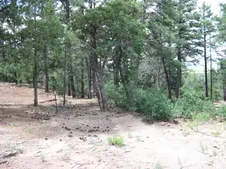 38 & 40 Mockingbird Highway 