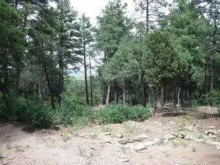 38 & 40 Mockingbird Highway 