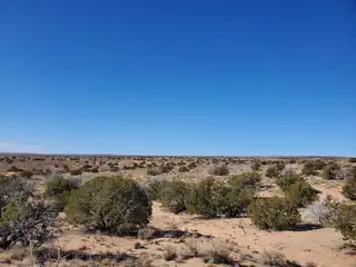 4629 Rameau Court NE 