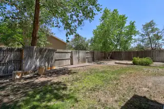 115 ESPINOSA Road Backyard