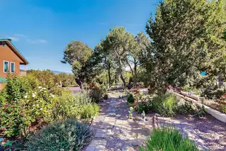 14 ASHER Lane Backyard