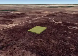 GOLDEN VALLEY Lot:149 