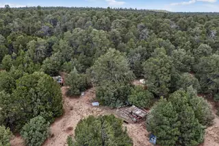 53 & 55 GONZALES Road 