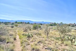 1239 Rockrose Road NE 