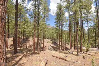 Lot 6A Cool Pines, Jemez Springs 