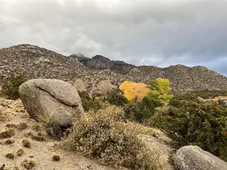 252 SPRING CREEK Place NE 