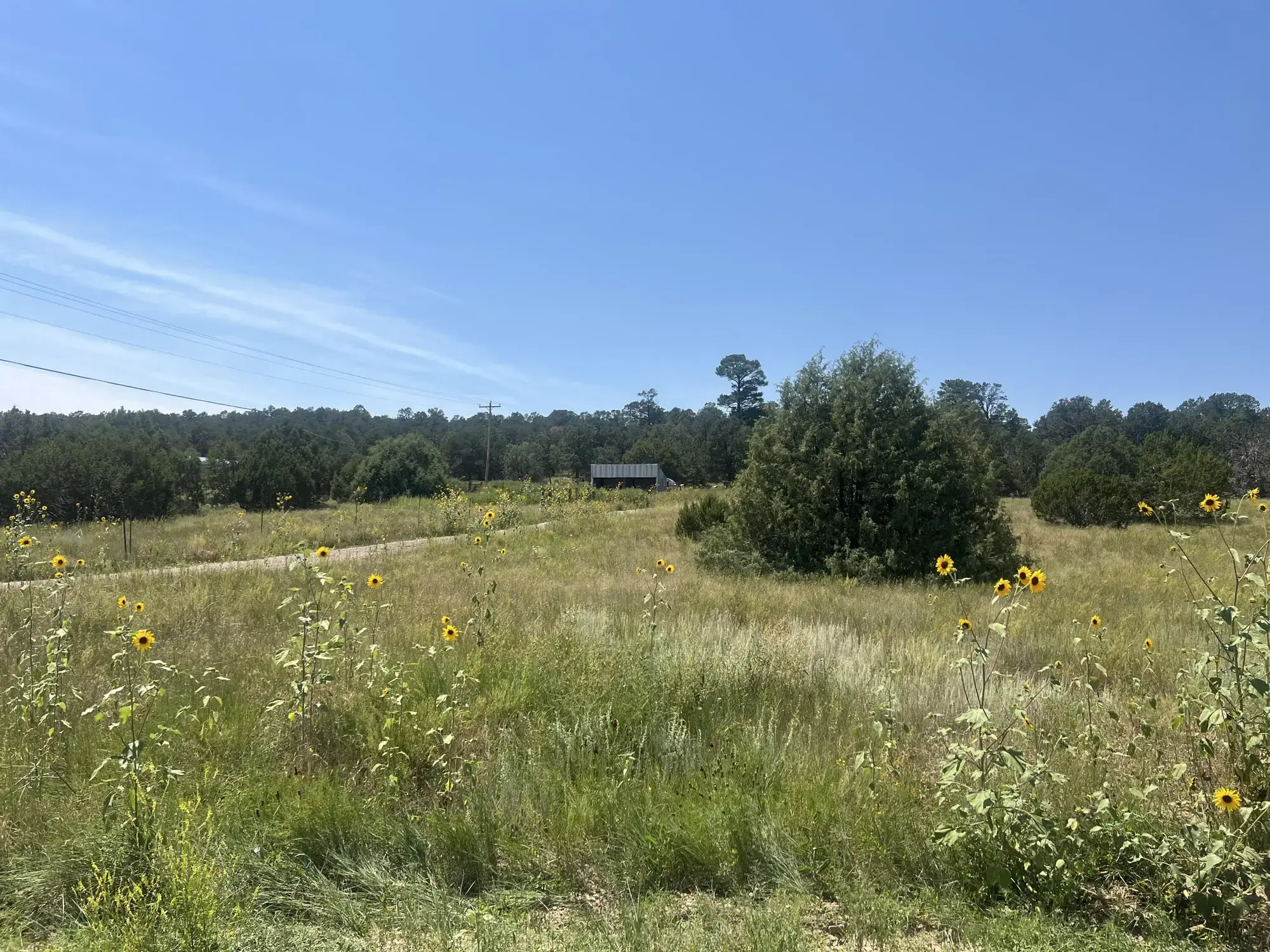 Ballenger Ranch Road